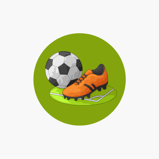 Football fan