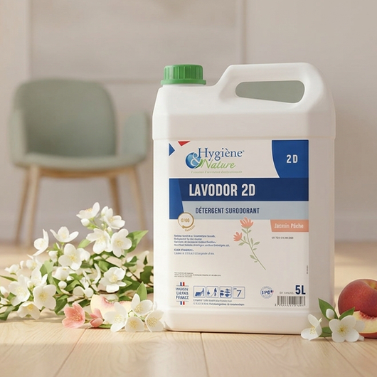 <h1>Détergent Multi-Surfaces Expert : La Propreté au Millimètre</h1>