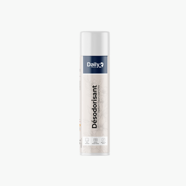Désodorisant Professionnel DailyK - Aérosol 750ml