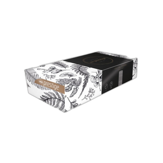 Wepa - Mouchoirs cosmétiques 2 plis 100 formats (Carton)