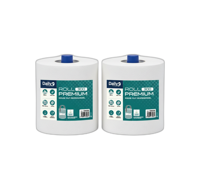 DailyK - Essuie-Tout Professionnel 300 Feuilles, Lot de 2