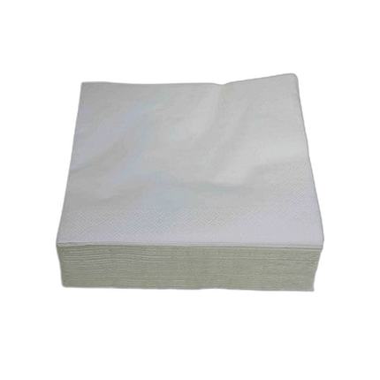 Serviette 30x30cm blanche 2 plis pure ouate Ecolabel- Ct de 3200 - image 1